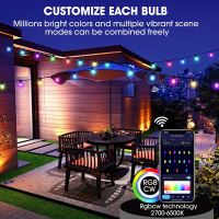 Immax NEO LITE Smart outdoor decorative chain garland 15W,15m, Tuya WiFi, RGB, CCT IP65 (34)