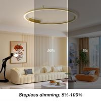 Immax NEO FINO ceiling (wall) luminaire gold 120cm 72W 4752lm Tuya Zigbee 3,0 with remote control. (6)
