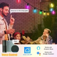 Immax NEO LITE Smart outdoor decorative chain garland 15W,15m, Tuya WiFi, RGB, CCT IP65 (39)