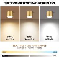 Immax NEO LITE RONDATES Smart Ceiling Light gold 16,5cm 2592lm Tuya WiFi with BEACON support (7)