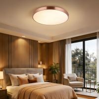 Immax NEO LITE SEMPLICI Smart ceiling light 60cm 60W 4500 lm Tuya WiFi BEACON copper/ Rose gold (24)