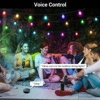 Immax NEO LITE Smart outdoor decorative chain garland 15W,15m, Tuya WiFi, RGB, CCT IP65 (31)