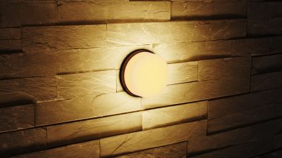 Immax LUXLINE Outdoor LED Wall and Ceiling Light, Round, 8W, 3000K, 240V, IP54, matt plastic