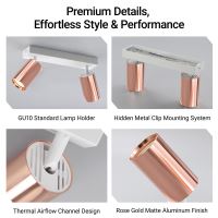 Immax PUNTO-2 ceiling wall spot light 2 heads GU10, copper/white (10)