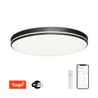 Immax NEO LITE AREAS Smart ceiling light 40cm, 24W black Tuya Wi-Fi (4)