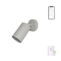 Immax NEO PARED Smart spot ceiling wall lamp outdoor grey GU10 RGB,CCT,Tuya Wifi