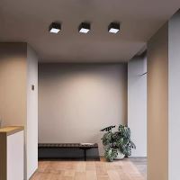 Immax NEO CANTO Smart ceiling light 15x15cm 12W black Zigbee 3.0 (11)