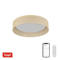 Immax NEO LITE LONA Smart LED ceiling light 36W, CCT, WiFi, Tuya, BEACON, natural (2)