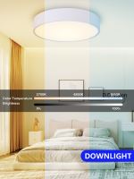 Immax NEO RONDATE SLIM Smart ceiling light 40 x 7cm 28W white Zigbee 3.0 (8)
