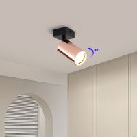 Immax PUNTO-1 ceiling, wall-mounted, spot luminaire for GU10 type source, copper (5)