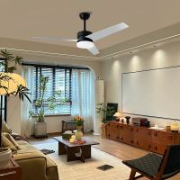 Immax NEO LITE VARIABLE Smart LED ceiling light with fan Tuya WiFi, Dark wood/silver (8)