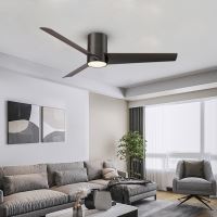 Immax NEO LITE FRESH SMART ceiling light with FAN Tuya Wifi black (1)
