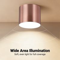 Immax NEO LITE RONDATES Smart Ceiling Light Copper 16,5cm 2592lm Tuya WiFi with BEACON support (2)