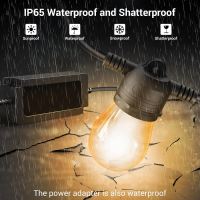 Immax NEO LITE Smart outdoor decorative chain garland 15W,15m, Tuya WiFi, RGB, CCT IP65 (42)