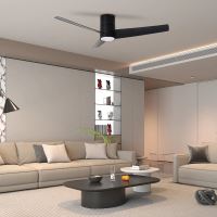 Immax NEO LITE FRESH SMART ceiling light with FAN Tuya Wifi black (13)