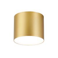Immax NEO LITE RONDATES Smart Ceiling Light gold 16,5cm 2592lm Tuya WiFi with BEACON support (11)