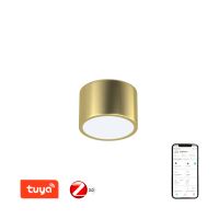 Immax NEO RONDATE Smart ceiling light 15cm 12W gold  Zigbee 3.0 (1)
