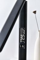 LED-Tischlampe Immax KINGFISHER schwarz (6)