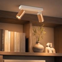 Immax PUNTO-2 ceiling wall spot light 2 heads GU10, copper/white (4)