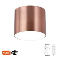 Immax NEO LITE RONDATES Smart Ceiling Light Copper 16,5cm 2592lm Tuya WiFi with BEACON support (10)