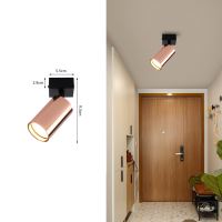 Immax PUNTO-1 ceiling, wall-mounted, spot luminaire for GU10 type source, copper