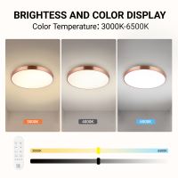 Immax NEO LITE SEMPLICI Smart ceiling light 60cm 60W 4500 lm Tuya WiFi BEACON copper/ Rose gold (26)