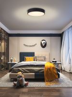 Immax NEO RONDATE SLIM Smart ceiling light 60 x 7cm 53W black Zigbee 3.0 (17)