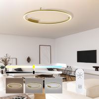 Immax NEO FINO ceiling (wall) luminaire gold 120cm 72W 4752lm Tuya Zigbee 3,0 with remote control. (4)