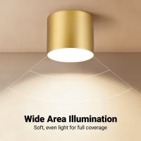 Immax NEO LITE RONDATES Smart Ceiling Light gold 16,5cm 2592lm Tuya WiFi with BEACON support (2)