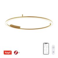 Immax NEO FINO ceiling (wall) luminaire gold 120cm 72W 4752lm Tuya Zigbee 3,0 with remote control. (2)