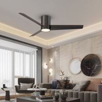 Immax NEO LITE FRESH SMART ceiling light with FAN Tuya Wifi black (4)
