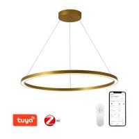 Immax NEO FINO Smart pendant light gold 80cm CCT 60W, Zigbee 3.0 (10)