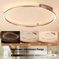Immax NEO FINO ceiling (wall) luminaire 120cm 72W 4752lm Tuya Zigbee 3,0 with remote control. Copper color. (18)