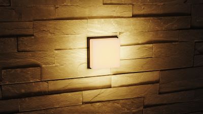 Immax LUXLINE Outdoor LED Wall and Ceiling Light, Square, 8W, 3000K, 240V, IP54, matt plastic
