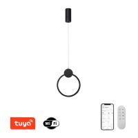 Immax NEO LITE OVALE Smart pendant luminaire black 26cm 18W Tuya WiFi with BEACON support (2)