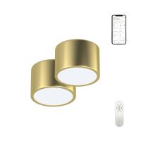 Immax NEO set 2x RONDATE Smart ceiling light 15cm 12W goldZigbee 3.0 + remote control (1)