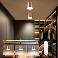 Immax NEO LITE RONDATES Smart Ceiling Light Copper 16,5cm 2592lm Tuya WiFi with BEACON support (5)
