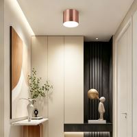 Immax NEO LITE RONDATES Smart Ceiling Light Copper 16,5cm 2592lm Tuya WiFi with BEACON support (3)