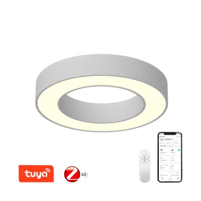 Immax NEO PASTEL Smart Deckenleuchte  60cm, 52W weiß Zigbee 3.0 II. quality